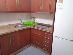 a kitchen with wooden cabinets and a sink and a refrigerator at Al lado de la feria en dos habitaciones Compartir con los propietarios in Albacete