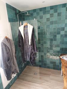 La salle de bains est pourvue d'une douche avec du carrelage vert. dans l'établissement Le Pavillon des pivoines, à Hyères