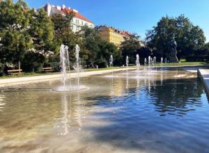 Príroda v okolí hotela