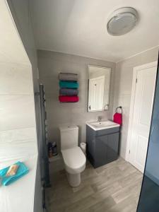 a bathroom with a white toilet and a sink at Stunning Two bed cottage in Rhuddlan +4 photos