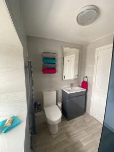 a bathroom with a white toilet and a sink at Stunning Two bed cottage in Rhuddlan