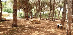 A garden outside The PineForest Cabin