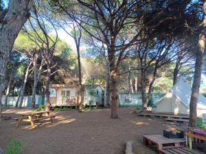 A garden outside The PineForest Cabin