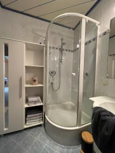 een badkamer met een douche met een glazen wand bij Ferienwohnung Martens Villa in Bad Aussee