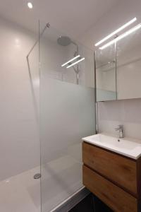 a bathroom with a sink and a glass shower at Plein centre de Waterloo! in Waterloo