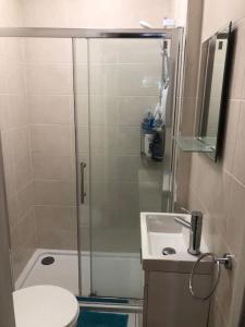 a bathroom with a shower with a toilet and a sink at Cosy apartment for 2 just 5 mins from Newbridge 