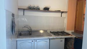 uma cozinha com um lavatório e um fogão em Lo scoiattolo bianco em Massa