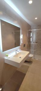 a bathroom with a sink and a toilet and a mirror at Hotel Saurat in Espot