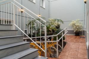 a staircase with a bunch of plants in a building at Plaza de la Luz Cádiz in Cádiz