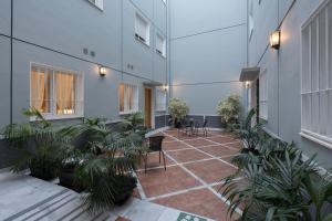 an empty courtyard with plants in a building at Plaza de la Luz Cádiz in Cádiz