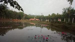 Příroda nedaleko farmy + 11 fotografií