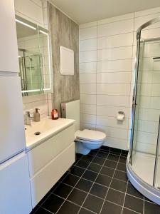 y baño con aseo, lavabo y ducha. en Modern apartment in Tromsø en Tromsø
