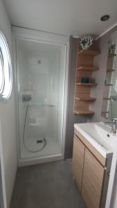 een badkamer met een douche en een wastafel bij MOBILHEIM HERZ LAUWERSOOG - Chalet Robbengat in Lauwersoog