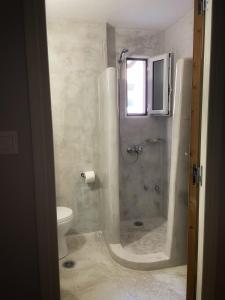ein Bad mit einer Dusche und einem WC in der Unterkunft Giasemi apartments in Karystos