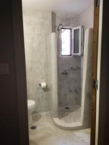 a bathroom with a shower and a toilet at Giasemi apartments in Karistos