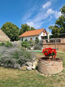 Gallery image of La Bobul Apartments in Drnholec