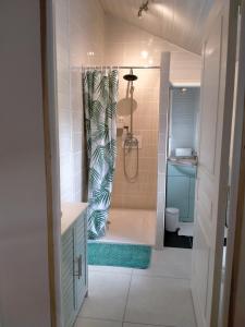 a bathroom with a tub and a shower with a shower curtain at Maison de ville avec jardin-Rêve à Rixheim! in Rixheim +39 photos