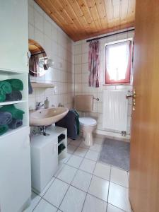 een badkamer met een wastafel, een toilet en een raam bij Ferienhaus Blick Falkenstein in Lindberg