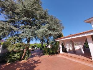 a house with a large tree and a patio at Villa con piscina mozzafiato, giardino e barbecue in Polignano a Mare