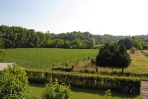 ein großes grünes Feld mit einem Zaun und Bäumen in der Unterkunft B&B La Cà Cita in Cortazzone