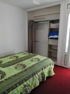 1 dormitorio con cama verde y armario en Chez Denis et Lucie, en Saint-André