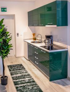FIT Apartments في سراييفو: مطبخ مع دواليب خضراء ومغسلة