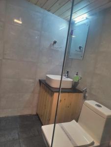 a bathroom with a toilet and a sink and a mirror at LaSerene The Cottage - Pangot in Nainital