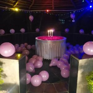 a pink cake with candles in a bunch of balloons at Tiger Heaven Resort in Bandhogarh Fort