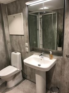 a bathroom with a sink and a toilet and a mirror at Victoriagården in Grimstad +20 photos