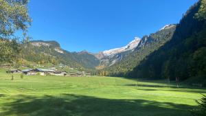 un grand champ vert avec des montagnes en arrière-plan dans l'établissement Chalet Birdie, au Grand-Bornand