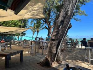 a tree next to a wooden deck with tables and chairs at Exceptionnel ! Appart luxueux à 8 min à pied du lagon in La Saline les Bains