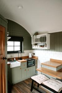 a kitchen with green walls and a sink and a stove at Luxury countryside getaway with wood fired hot tub, Cottage or Shepherds Hut in Gransha