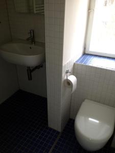 uma casa de banho com um WC e um lavatório em Schöne Wohnung Nahe Engl. Garten em Munique