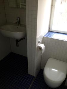 La salle de bains est pourvue de toilettes et d'un lavabo. dans l'établissement Schöne Wohnung Nahe Engl. Garten, à Munich