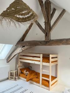 two bunk beds in a room with a tree ceiling at Maison Hortense 4 étoiles piscine chauffée et sauna in Buxeuil