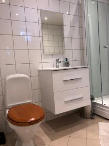 a bathroom with a toilet and a sink and a mirror at Koselig leilighet i Austbygde med Wifi in Bakko