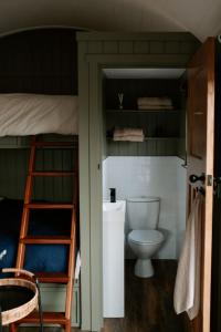 a bathroom with a toilet and a bunk bed at Luxury countryside getaway with wood fired hot tub, Cottage or Shepherds Hut in Gransha
