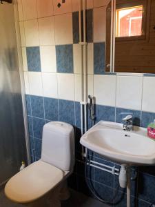 łazienka z toaletą i umywalką w obiekcie Lappalaisen lomamökit Pihamökki w mieście Puumala