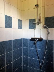 een douche in een badkamer met blauwe en witte tegels bij Lappalaisen lomamökit Pihamökki in Puumala