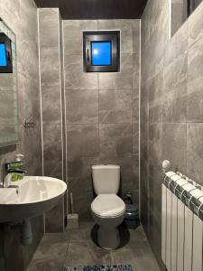 een badkamer met een toilet en een wastafel bij Садиба Ведмедиця 