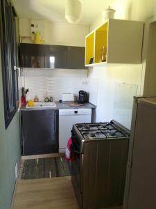 a small kitchen with a stove and a sink at Chalet Dionysos in Murat-le-Quaire