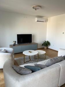 ein Wohnzimmer mit einem Sofa und einem Tisch in der Unterkunft Plava Zvezda Centar Free Garage in Novi Sad