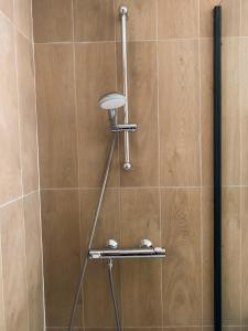 eine Dusche mit Duschkopf im Bad in der Unterkunft Au nom de la rose, beau 3 pièces en centre-ville in Provins