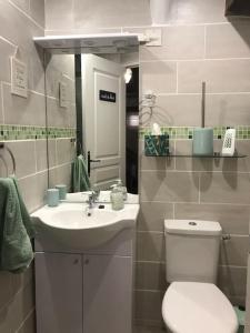 ein Bad mit einem WC und einem Waschbecken in der Unterkunft La Maison De La Tour Annex in La Sauvetat-du-Dropt