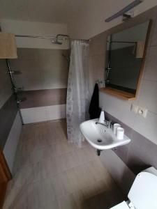 ein Bad mit einem Waschbecken, einem Spiegel und einer Dusche in der Unterkunft Križkov dom in Kremnitz