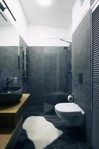 uma casa de banho com um WC e um lavatório em Bright attic flat in the centre em Riga