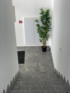 Foto sihtkohas Sremska Mitrovica asuva majutusasutuse Morpheus apartmani galeriist