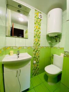 a green bathroom with a sink and a toilet at Садиба Орисин Явір Orysyn Yavir in Svityazʼ +32 photos