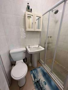 a bathroom with a toilet and a sink and a shower at The Bridge No 37 in St Lucia