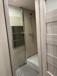 een douche met een glazen deur naast een badkamer bij Central Plaza in Katowice
